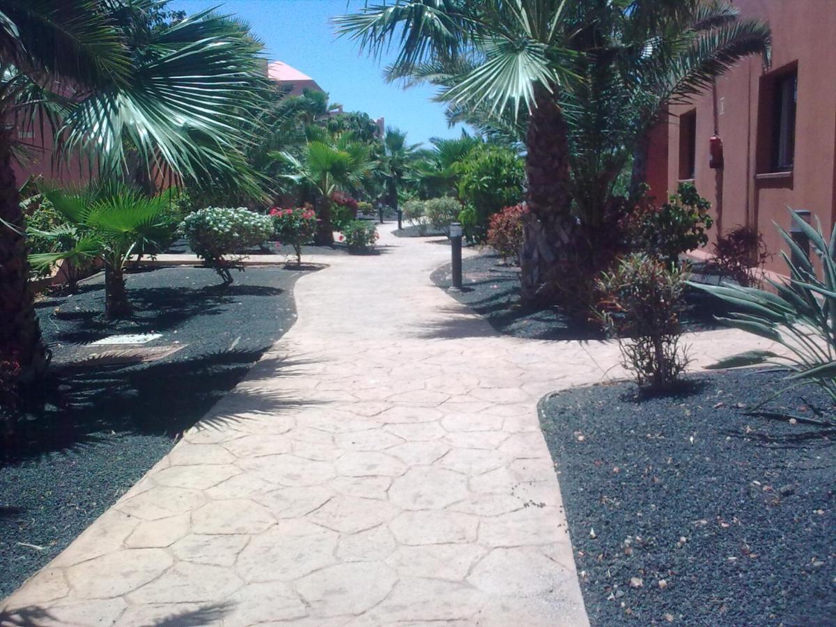 Tamarindo I Piscinas De Agua Salada Lägenhet Corralejo Exteriör bild