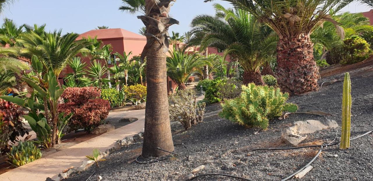 Tamarindo I Piscinas De Agua Salada Lägenhet Corralejo Exteriör bild